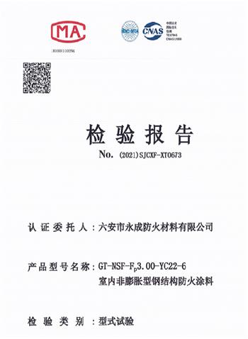 型式實(shi)驗報告